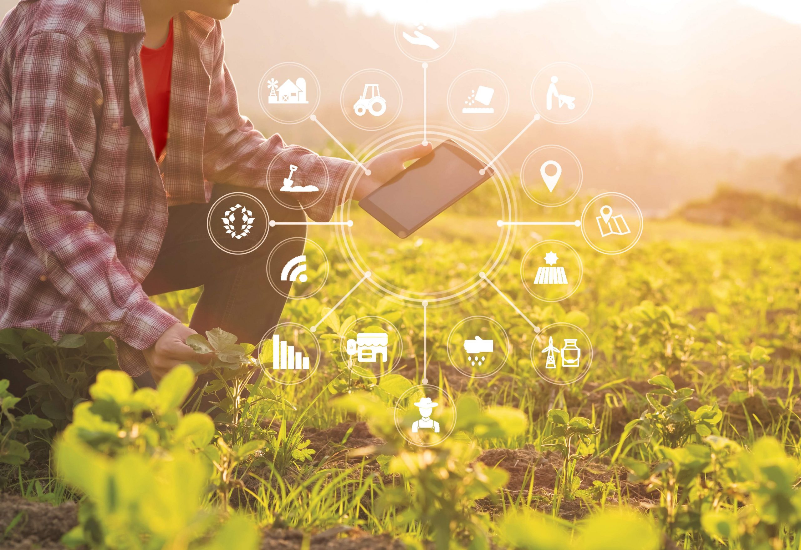 IoT Applications in Agriculture