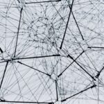 Business Internet for Startups: Budget-Friendly Yet Reliable Connectivity